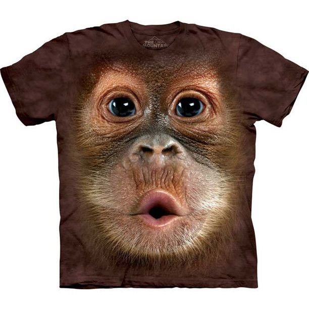 Somdiff - Big Face Baby Orangutang