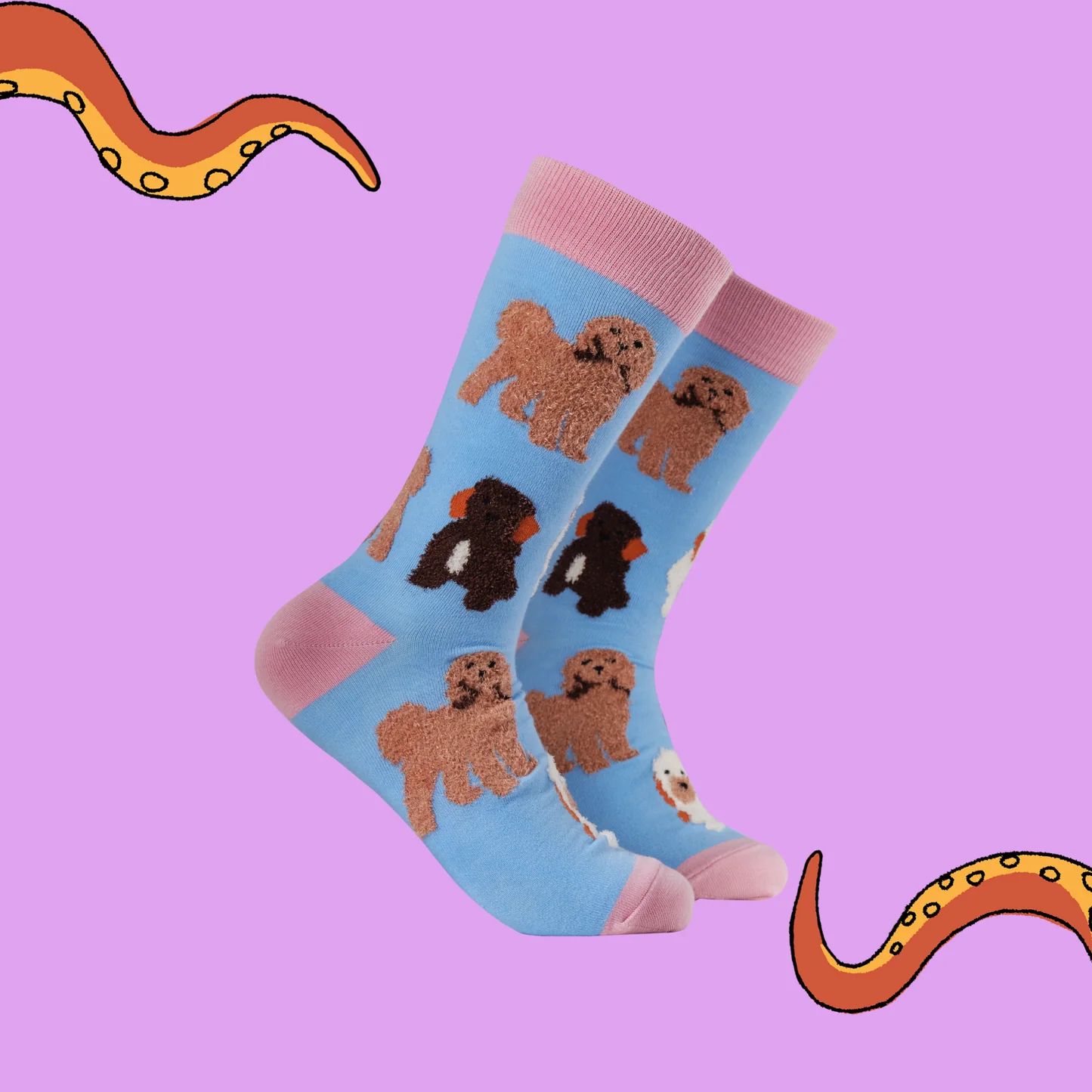 Soctopus - Fluffy Cockapoo