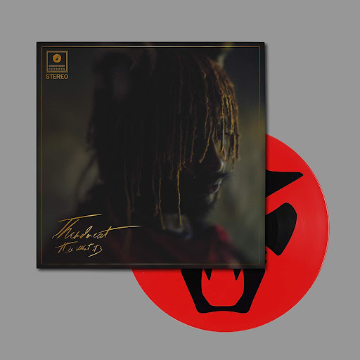 Thundercat - It Is What It Is (Deluxe Picture Disc)