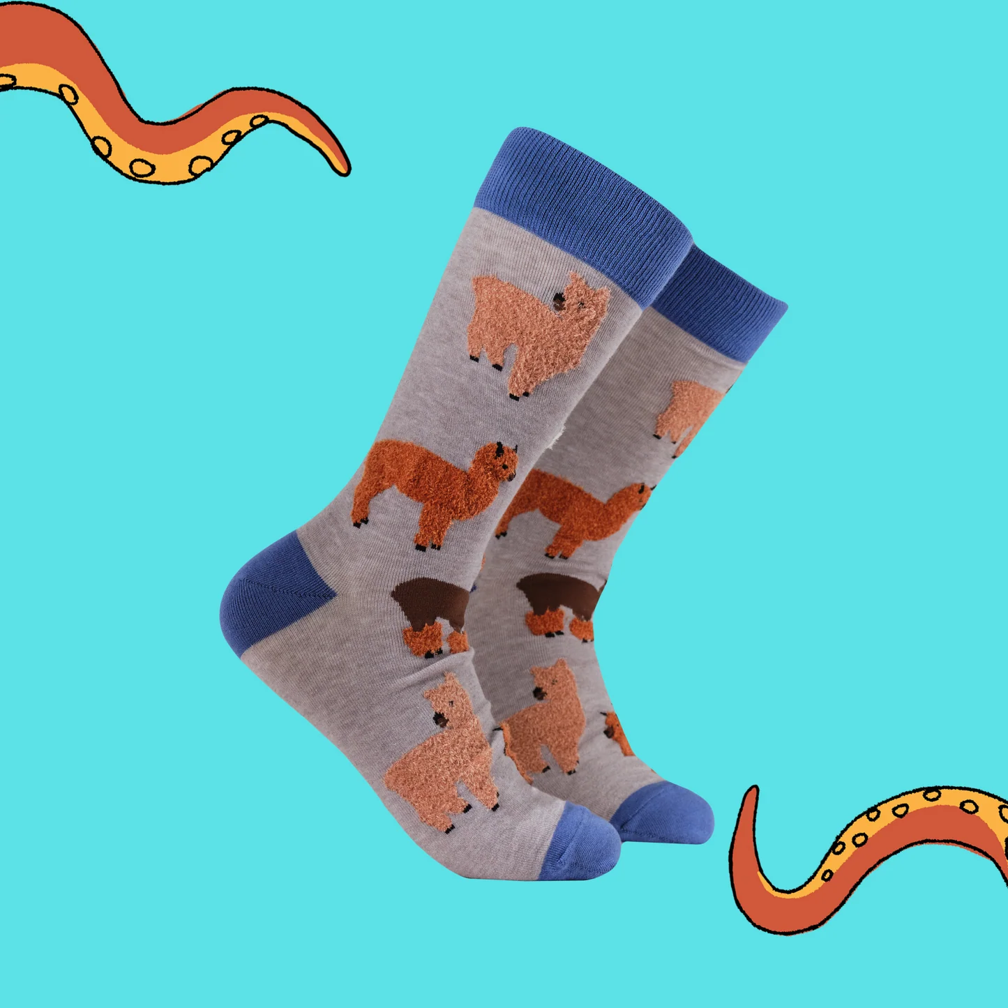 Soctopus - Fluffy Alpaca