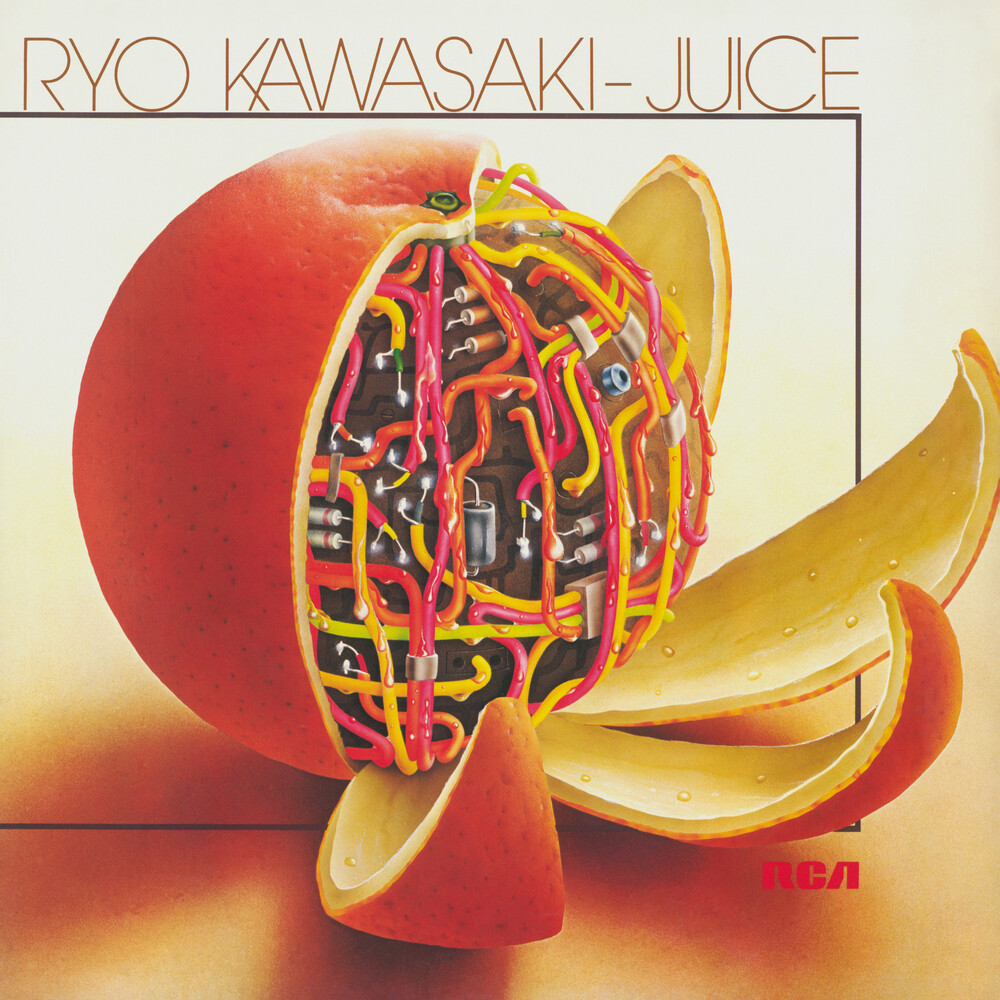 Ryo Kawasaki - Juice