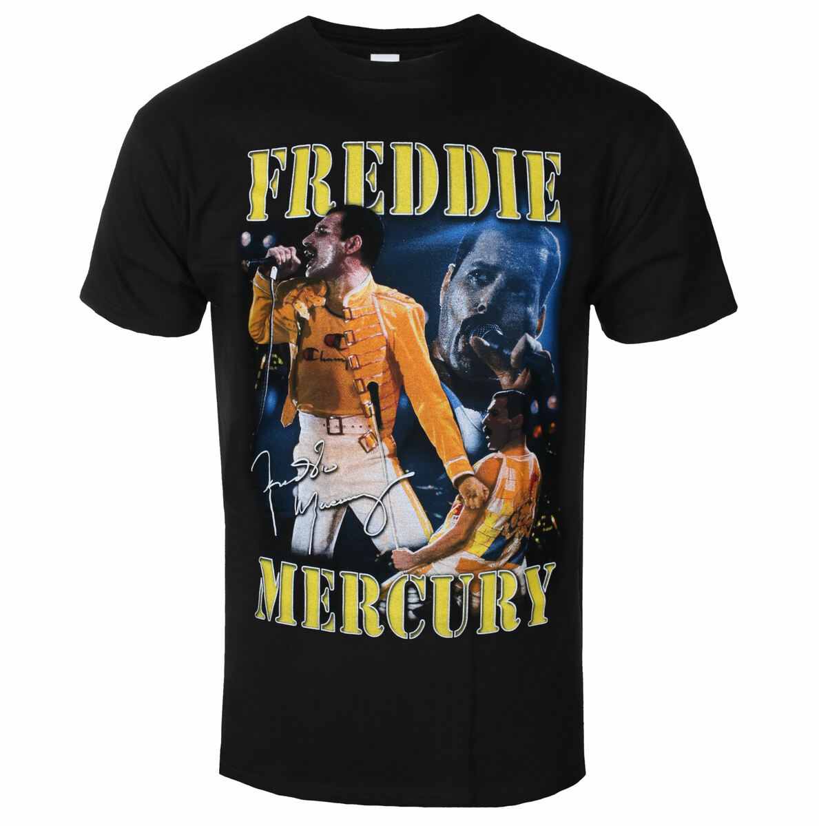 Freddie Mercury - Live Homage