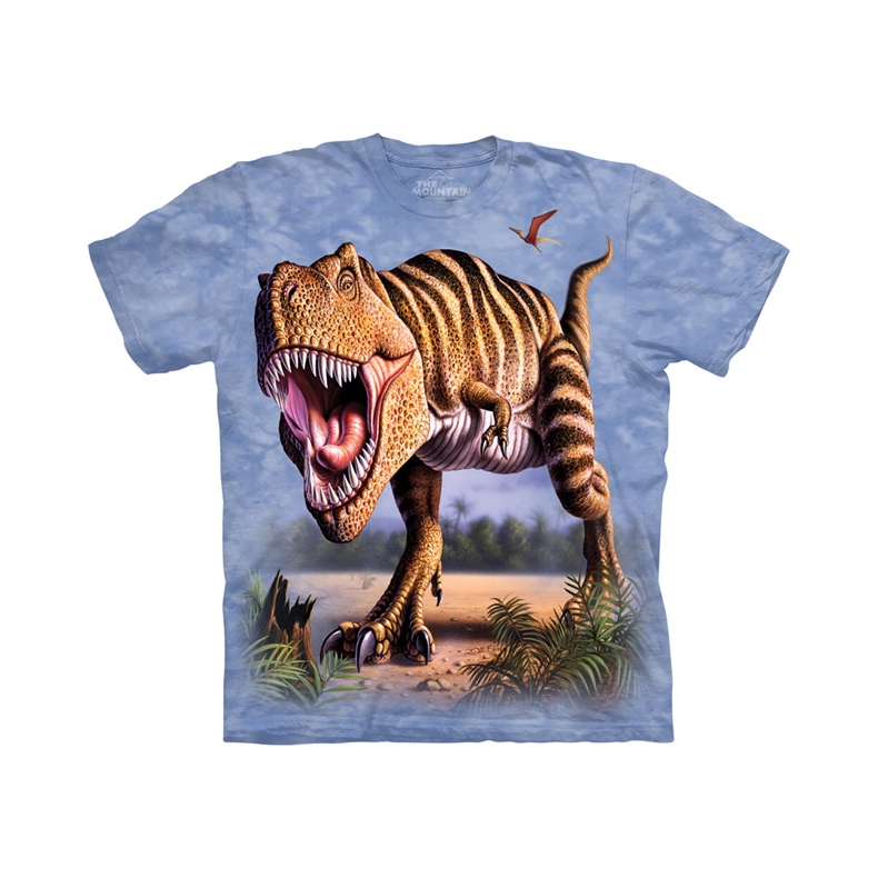 Somdiff - T-krekls bērniem Striped Rex