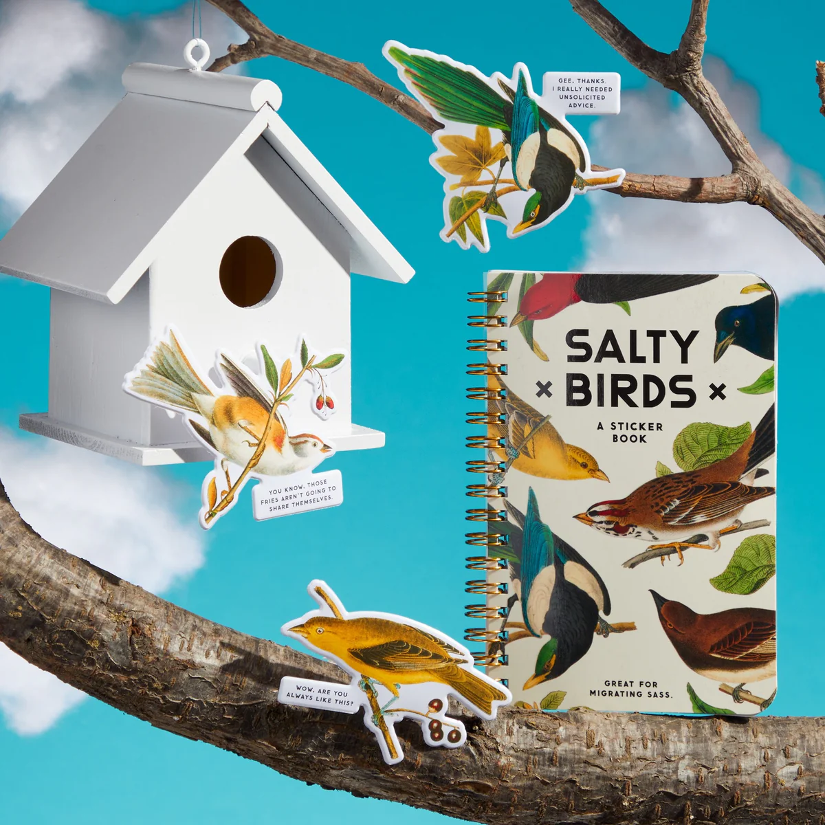 Brass Monkey - Salty Birds Sticker Book - image 1