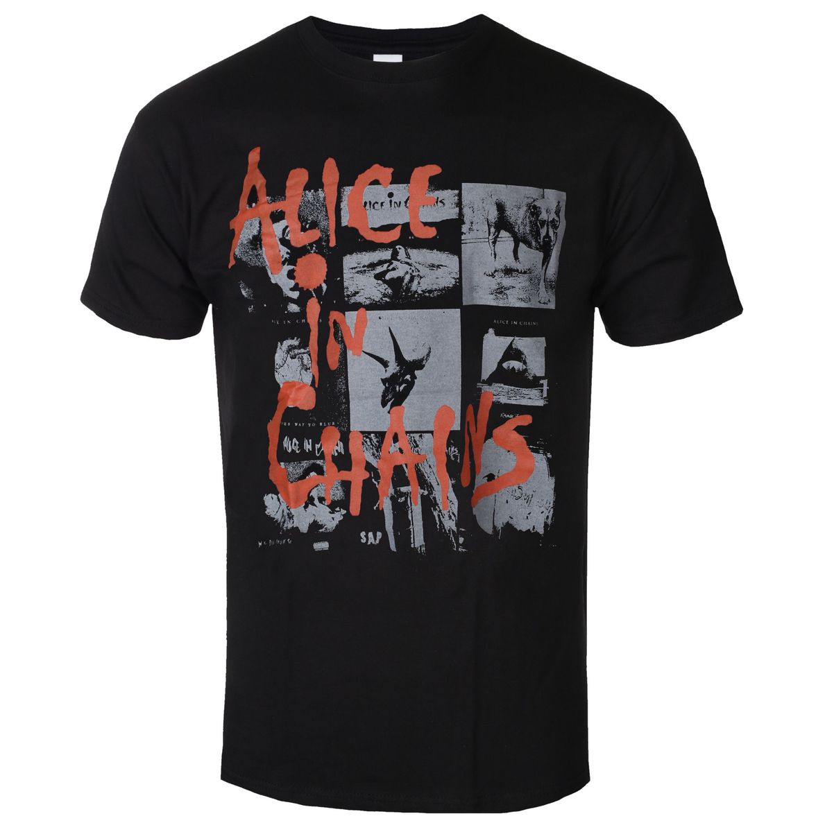 Alice In Chains - Albums Montage