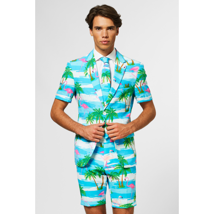 OppoSuits - Summer Suit Flaminguy