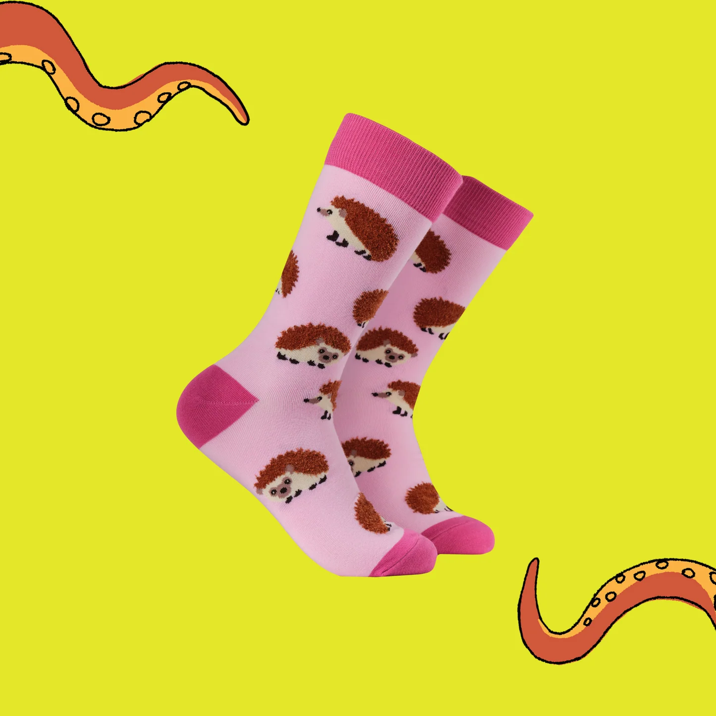 Soctopus - Fluffy Hedgehogs